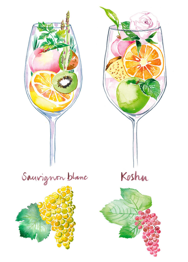 Two fresh colorful watercolor illustrations of wine glasses filled with fruits and grapes