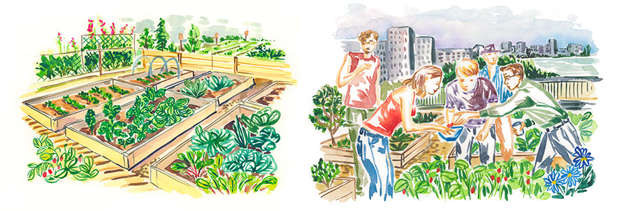Two city farming watercolor illustrations showing people gardening by their building and their production