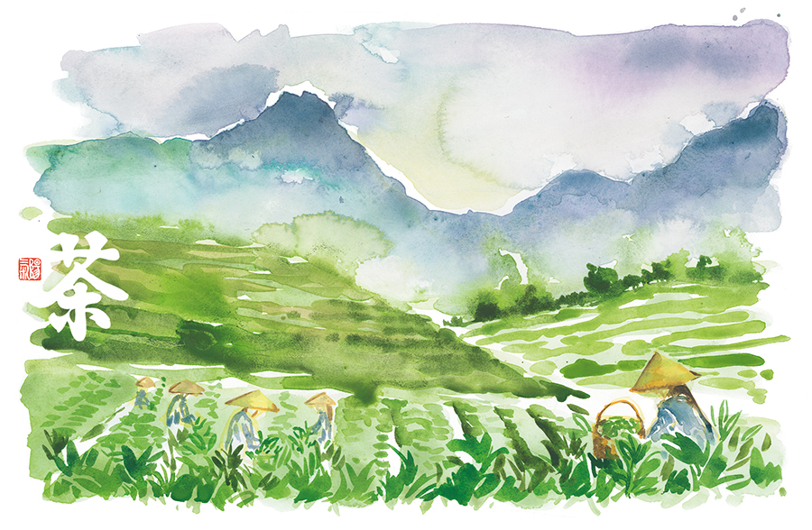Paddy fields in China Watercolor illustration 