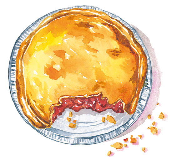 pie watercolor illustration partially eaten with crumbs in a mold