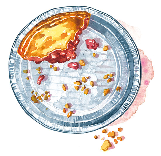 piece of pie watercolor illustration almost totally eaten with crumbs in a mold