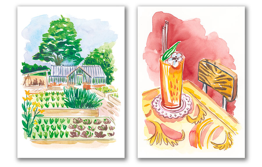 green house watercolor illustration and cocktail on a table