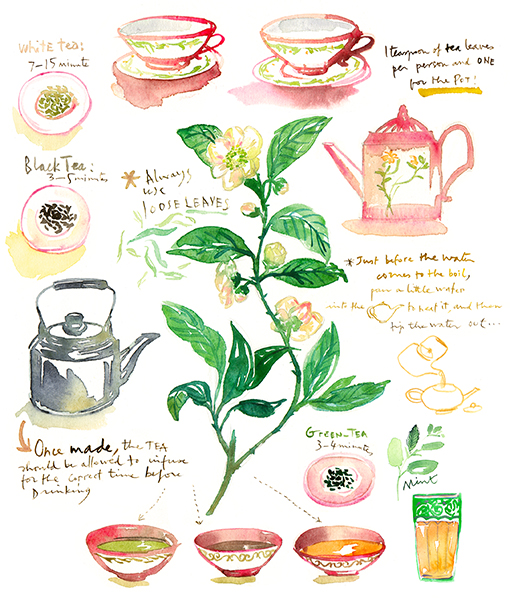 tea plant, teapot and tea cups watercolor illustration
