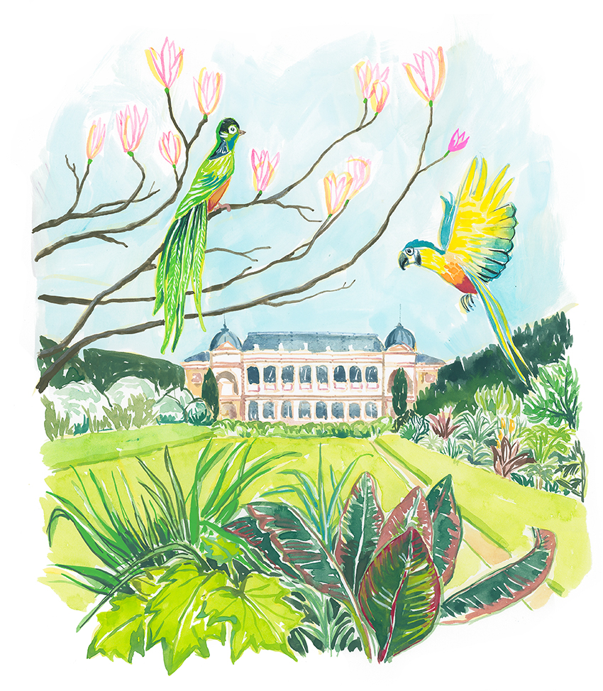 illustration aquarelle perspective Jardin des Plantes à Paris avec deux oiseaux