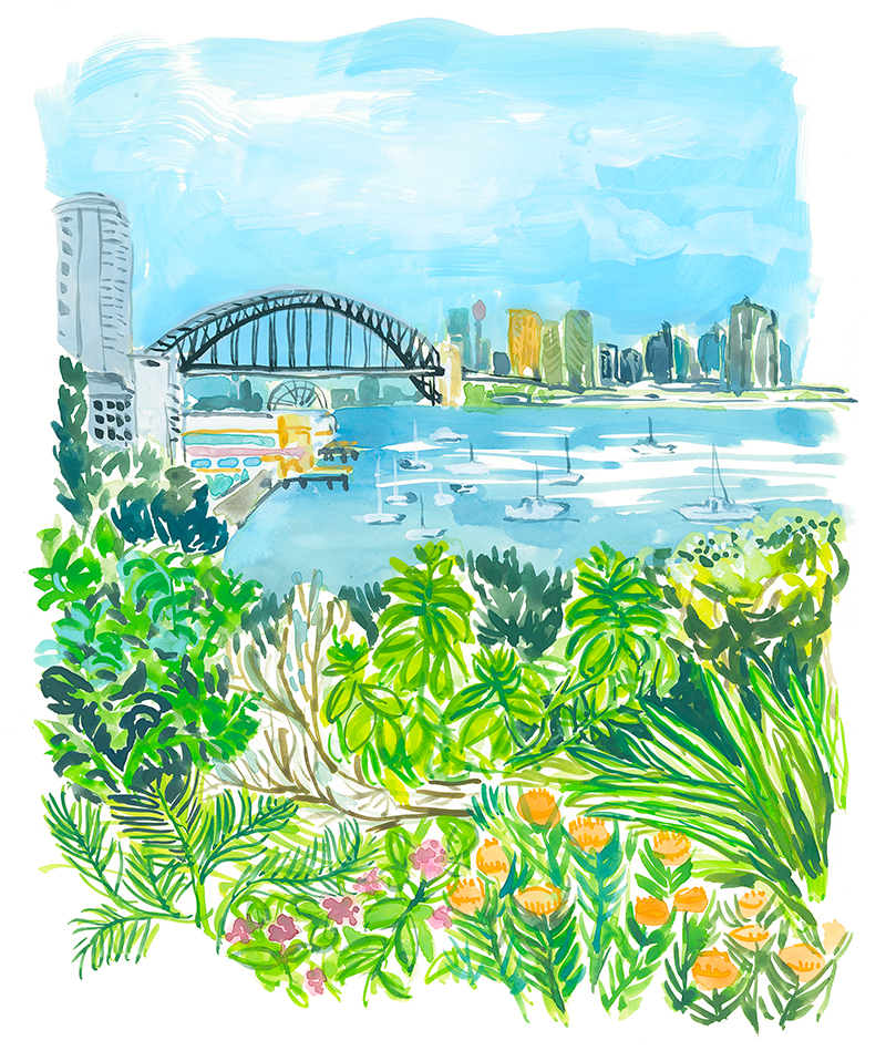 Lavender Bay and Harbour bridge in Sydney watercolor illustration